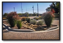 Alternative commercial stormwater management system utilizing rain gardens and permeable paving